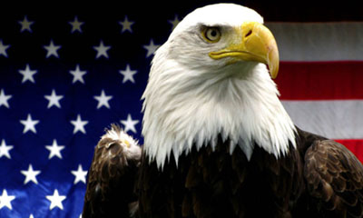 Symbole Aigle aux USA Symbole Aigle aux USA